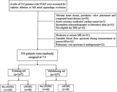 A nomogram for predicting left atrial thrombus or spontaneous echo contrast in non-valvular atrial fibrillation patients using hemodynamic parameters from transthoracic echocardiography